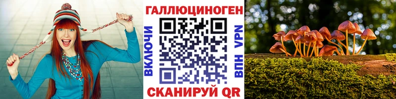 Псилоцибиновые грибы Psilocybe  кракен рабочий сайт  Тобольск  где можно купить  
